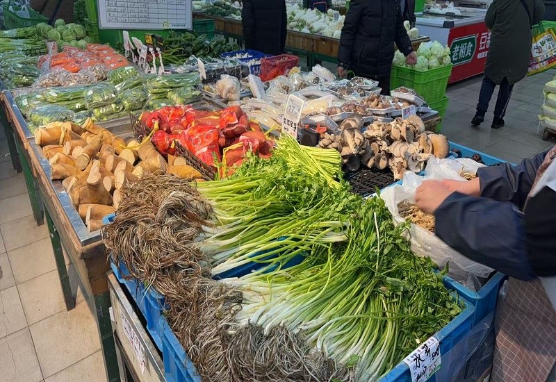 筑牢冰雪防線，守護民生暢通